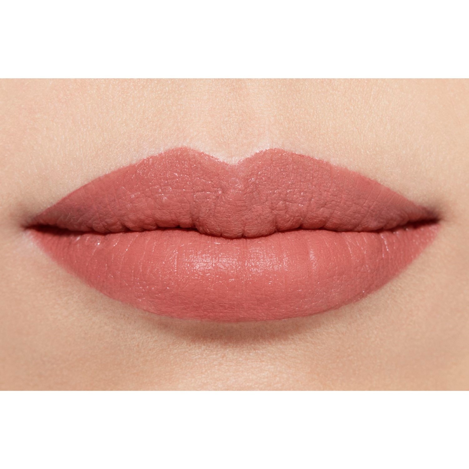 LA BARRA DE LABIOS ATERCIOPELADA LUMINOSA